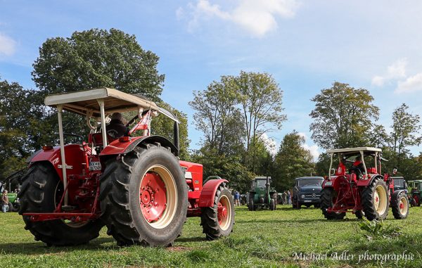 Eventfotografie krefeld Rote Traktoren auf einer Wiese, umgeben von Bäumen und weiteren Traktoren.