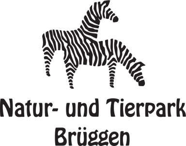Zwei Zebras, eines steht und das andere frisst, darüber der Schriftzug "Natur- und Tierpark Brüggen".